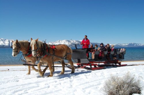A horse-drawn sleigh carries passengers across snowy terrain by a lake with mountains in the background.