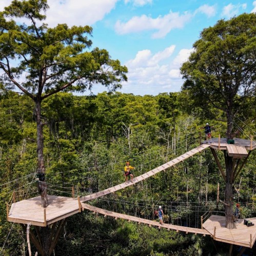 Aerial view of a treetop adventure course with wooden platforms and rope bridges among lush green trees.