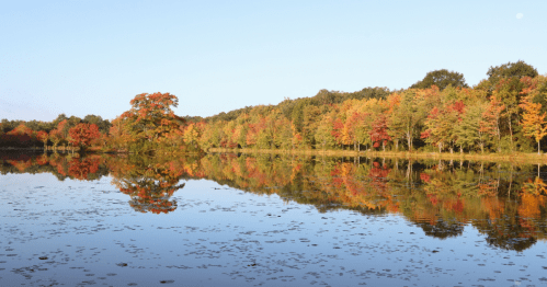 A serene lake reflecting vibrant autumn trees in shades of orange, red, and green under a clear blue sky.