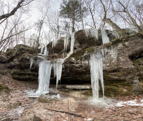 Icicles hang from a rocky outcrop in a wooded area, with a small waterfall and leaf-covered ground below.
