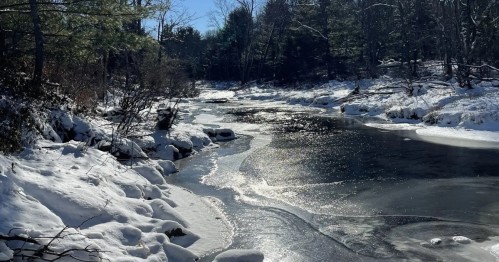 A serene winter landscape featuring a snow-covered riverbank and icy water under a clear blue sky.