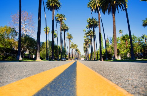 A sunny street lined with tall palm trees and a clear blue sky, viewed from ground level.