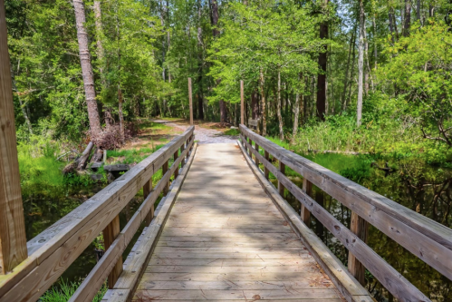 A wooden bridge spans a serene path through a lush green forest, surrounded by trees and a calm waterway.