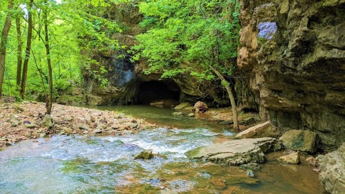 A serene forest scene featuring a rocky cave entrance beside a flowing stream, surrounded by lush green trees.