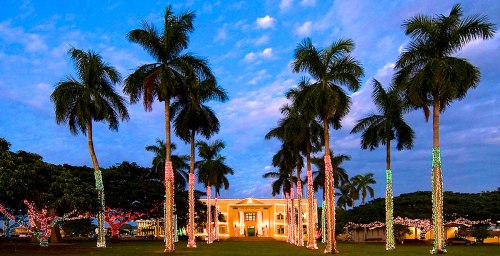 A beautifully lit building surrounded by palm trees adorned with colorful lights against a twilight sky.