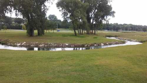 A serene landscape featuring a winding stream surrounded by lush green grass and trees.