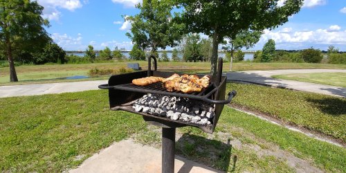 A grill with food cooking over hot coals, set in a park with a lake and trees in the background under a blue sky.