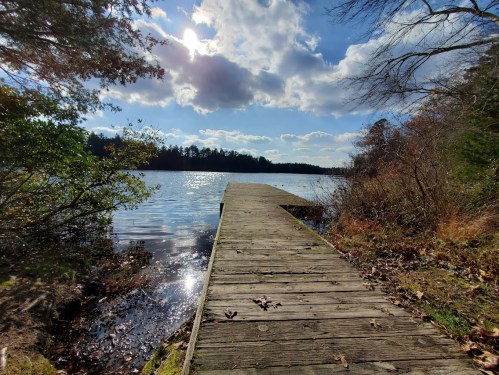 A wooden dock extends into a calm lake, surrounded by trees and a bright blue sky with fluffy clouds.