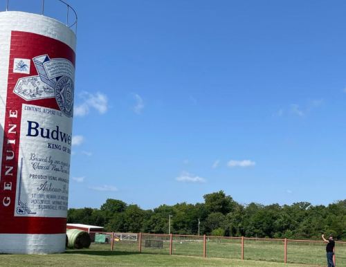 A large Budweiser-themed silo stands in a grassy area, with a person walking nearby under a clear blue sky.