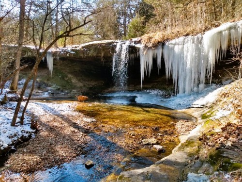 A serene winter scene featuring a waterfall with icicles, surrounded by trees and a small stream.