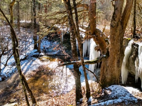 A serene winter scene featuring a creek, icy formations, and trees in a sunlit forest.