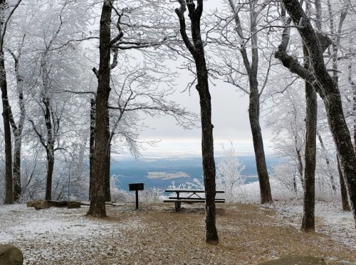 A snowy landscape with bare trees, a picnic table, and a distant view of rolling hills under a cloudy sky.