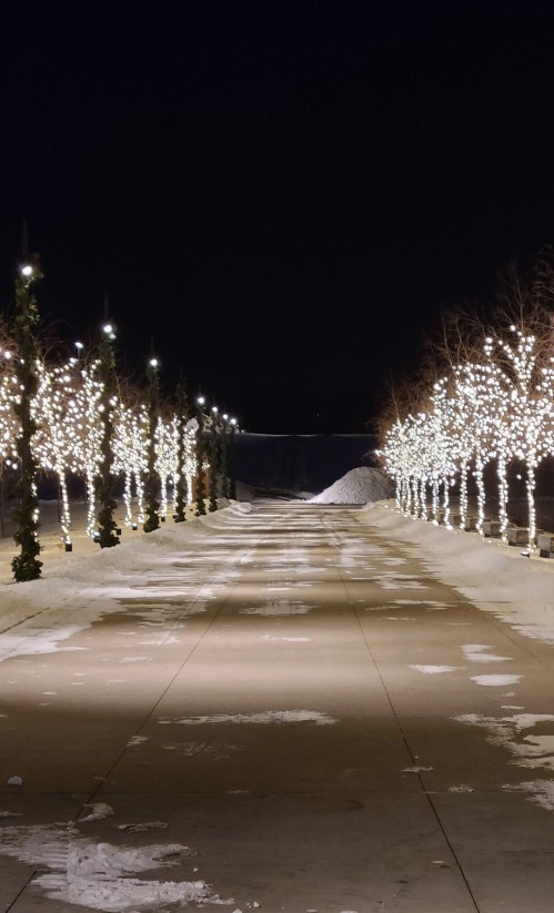 A snow-covered pathway lined with glowing white lights on trees, leading into a dark, serene night.