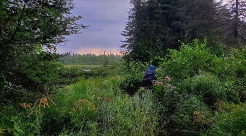 A person in a blue jacket navigates through lush greenery near a calm waterway under a cloudy sky.