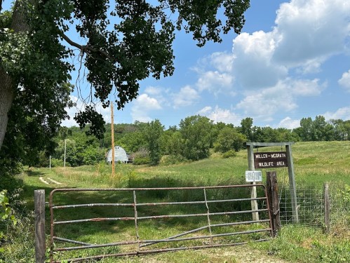 A rustic gate leads to a grassy path, with a barn in the distance under a blue sky with fluffy clouds.