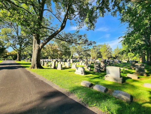 A peaceful cemetery scene with gravestones, trees, and a clear blue sky along a paved path.