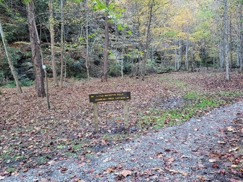 Sign for Little Waterfall Falls in a wooded area with autumn leaves on the ground and trees in the background.