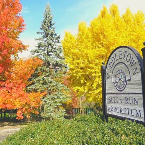 Sign for Bulls Run Arboretum in Middletown, surrounded by vibrant autumn foliage in shades of red and yellow.