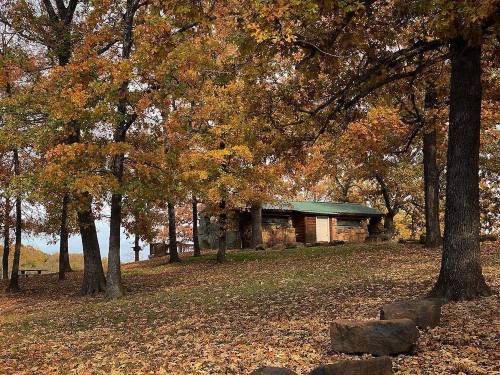 A rustic cabin surrounded by colorful autumn trees and fallen leaves on a hillside.