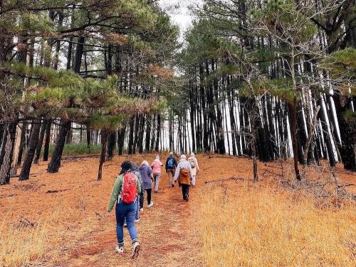 A group of people hiking on a forest trail surrounded by tall trees and orange-brown foliage.