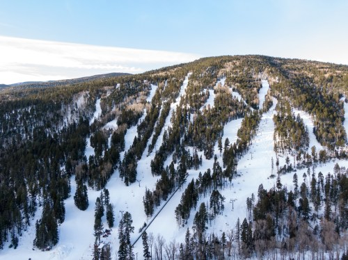 A snowy mountain landscape with ski trails winding through evergreen trees under a clear blue sky.