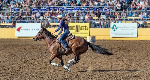 A cowgirl rides a brown horse at a rodeo, with a cheering crowd in the background.