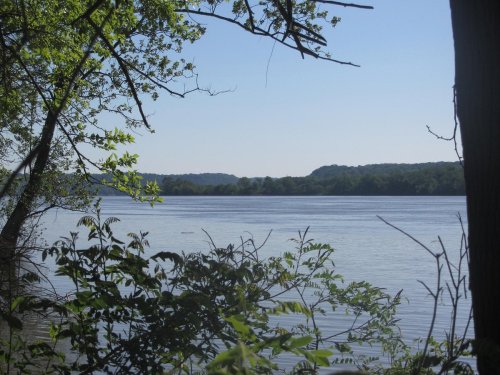 A serene view of a calm lake surrounded by trees and distant hills under a clear blue sky.