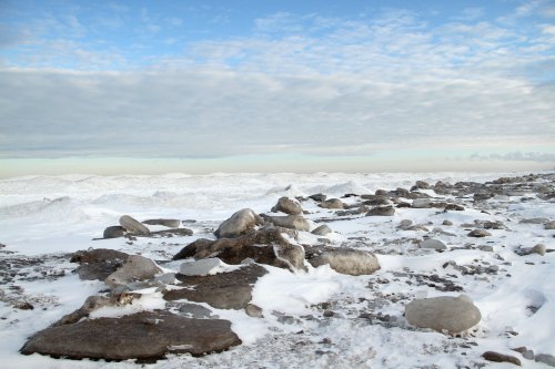A snowy landscape with scattered rocks under a cloudy sky, creating a serene winter scene.