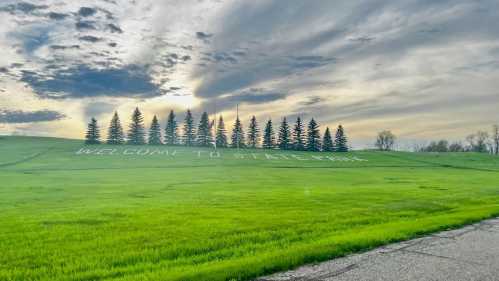 A grassy hill with "WELCOME TO A NEW PARK" written in white letters, surrounded by tall evergreen trees under a cloudy sky.