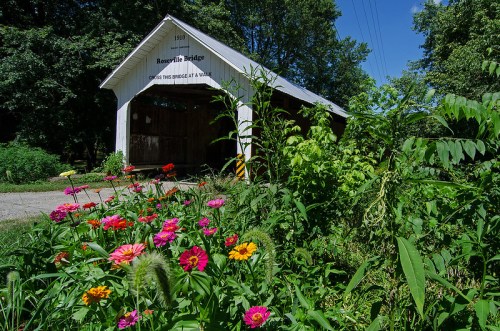 A covered bridge surrounded by vibrant flowers and greenery, with trees in the background and a clear blue sky.