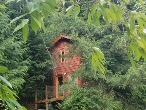 A small wooden cabin nestled among lush green trees, surrounded by vibrant foliage.