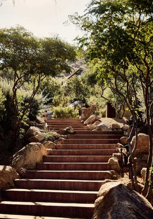 A serene pathway of wooden steps leads through lush greenery and rocks, surrounded by trees and a peaceful landscape.