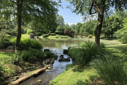 A serene park scene featuring a calm pond, lush greenery, and a small bridge in the background under a clear blue sky.