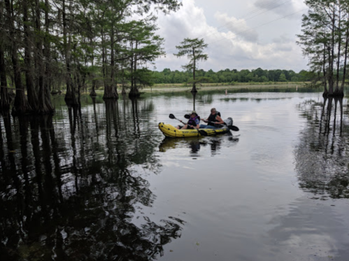 Two people kayak through a calm, reflective swamp surrounded by cypress trees under a cloudy sky.