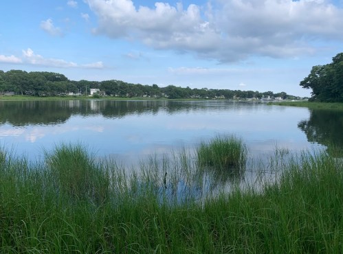 A serene lake surrounded by green grass and trees, reflecting clouds and blue sky.