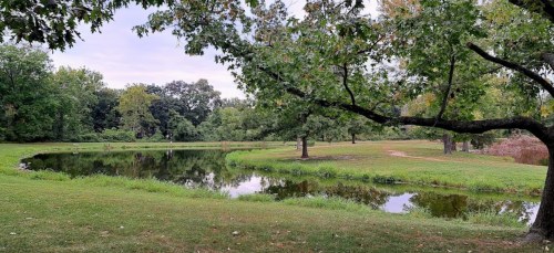 A serene landscape featuring a pond surrounded by lush greenery and trees under a cloudy sky.