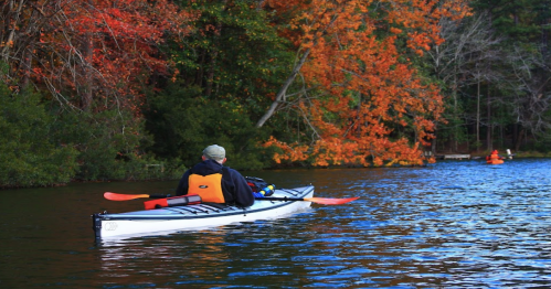 A person in a kayak paddles on a calm lake surrounded by vibrant autumn foliage.