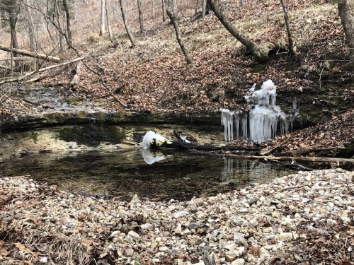 A serene forest scene with a small pond, surrounded by bare trees and patches of ice on the rocks.