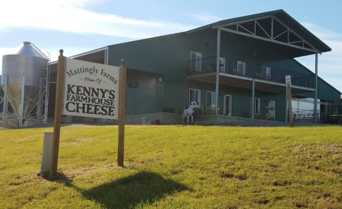 A green barn with a sign for Kenny's Farmhouse Cheese, surrounded by grass and silos under a clear blue sky.