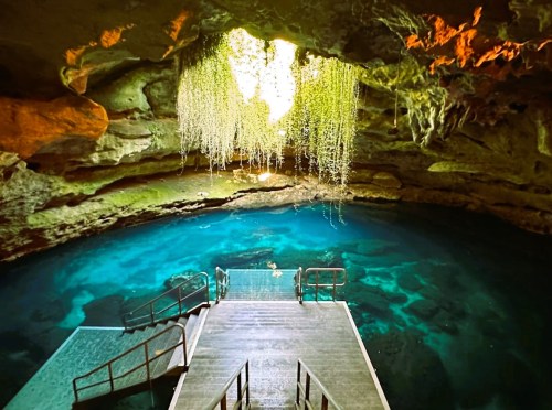 A serene cave with a bright opening, featuring turquoise water and lush greenery hanging from the ceiling.