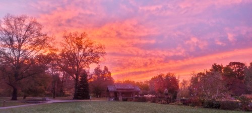 A vibrant sunset paints the sky in pink and orange hues over a park with trees and a small building.