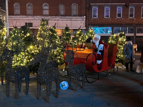 Santa sits in a sleigh surrounded by lit Christmas trees and reindeer decorations at a festive outdoor event.