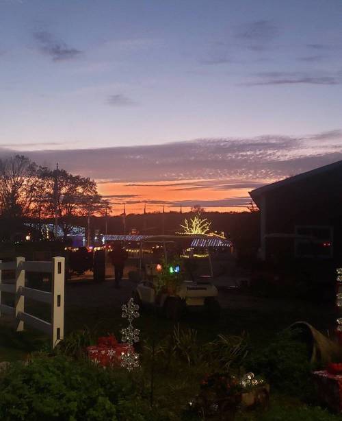 A colorful sunset with orange and purple hues, framed by trees and festive lights in the foreground.