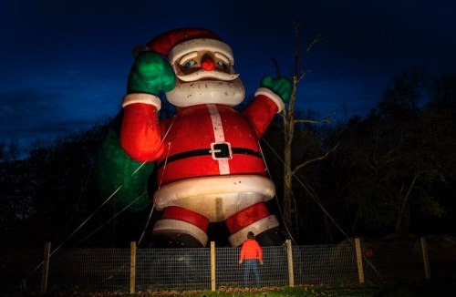 A giant inflatable Santa Claus stands at night, with a person admiring it in front of a dark, wooded background.