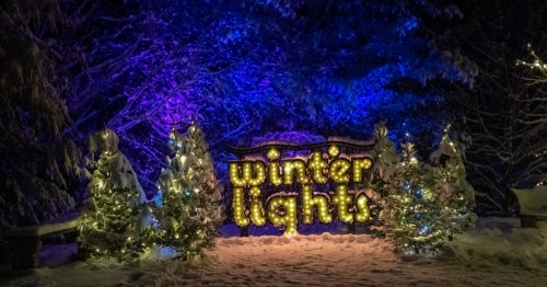 A snowy scene featuring illuminated trees and a sign that reads "winter lights," surrounded by purple and blue lighting.