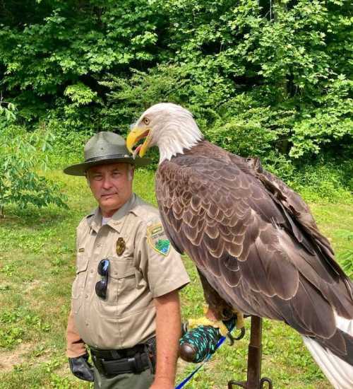 A park ranger stands beside a large bald eagle perched on his arm, surrounded by lush green trees.