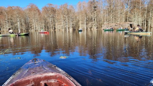 A serene lake scene with several kayakers paddling among trees reflecting in the calm water under a clear blue sky.
