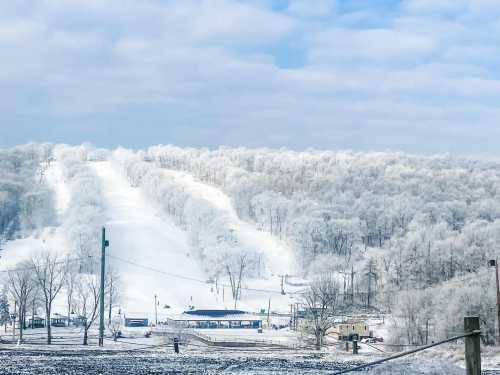 A snowy landscape with a ski slope, frosted trees, and a clear blue sky in the background.