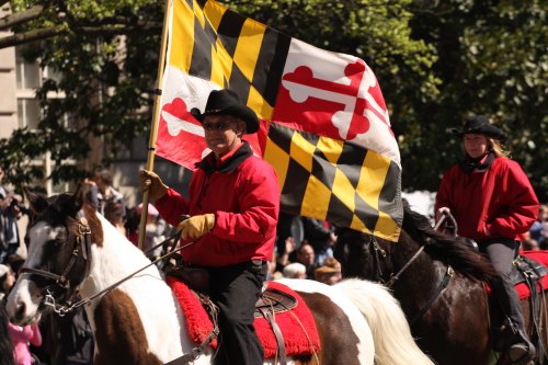 Two riders on horseback, one holding a Maryland flag, dressed in red jackets and black hats during a parade.