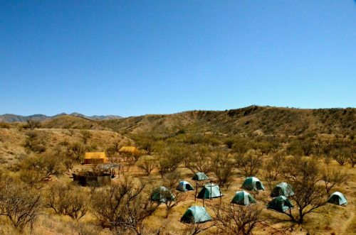 A desert landscape with several green tents scattered among sparse trees and hills under a clear blue sky.